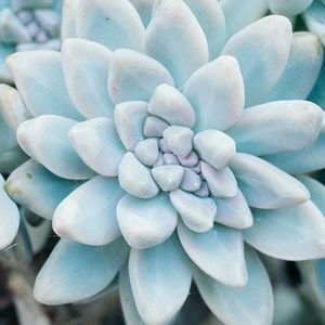 Meet your Posher, Elisabeth